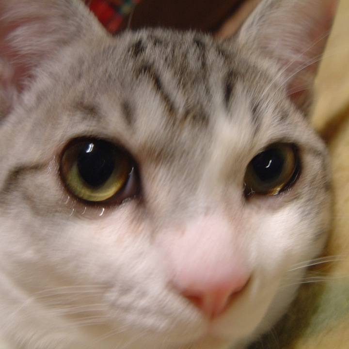 2feb8621 5912 4984 b144 51c2df77e9d4