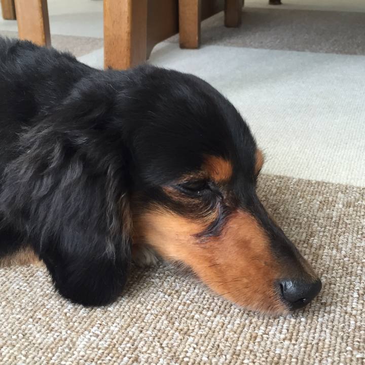 2fecc25d 9986 4505 b55e d366e1e6f460