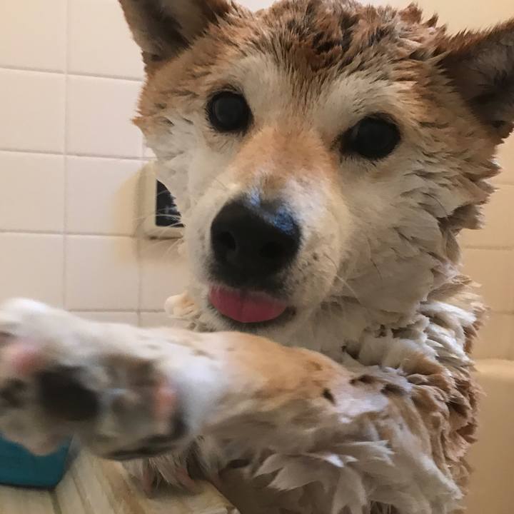 2feecc28 39e6 400d 8b2f 12ec2b2df293