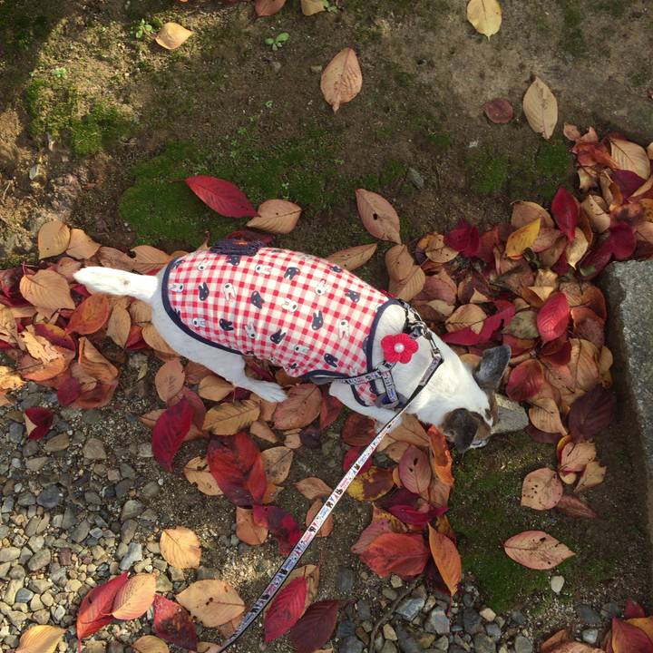 2fef0bc4 fda6 4f97 aadd db9de8bf6a16