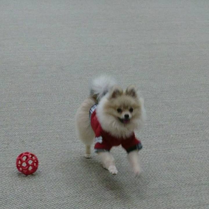 2fef9dac f950 4c8c a971 9fafc2078d3a