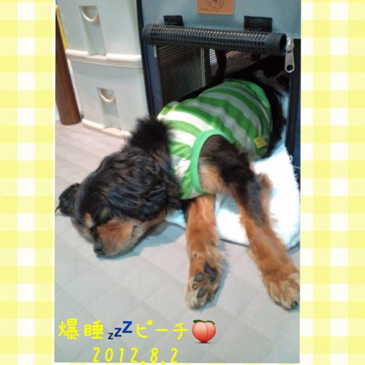 2fef9f6b e86d 44c0 a5d8 c7094c716111