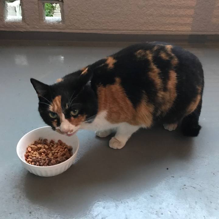 2fefd3e7 4e38 43f8 995d a0559dfd5a21