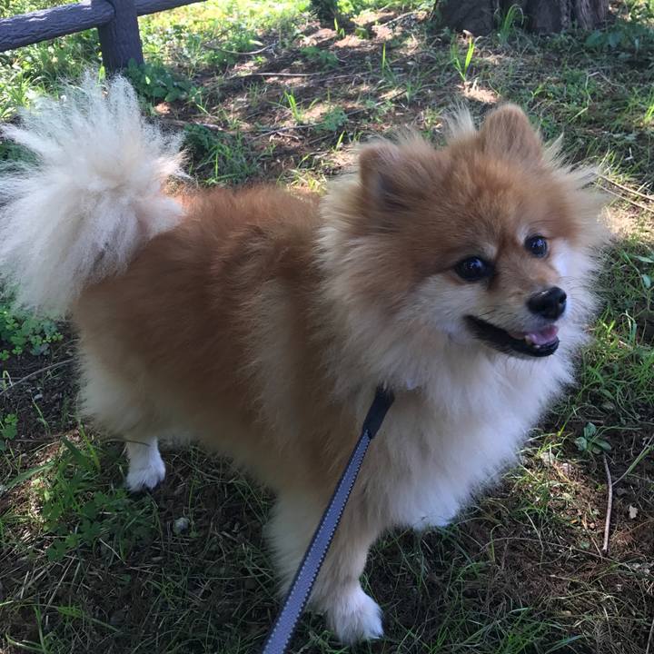 2ff01626 9aab 4e55 b48c 1b9a0f8b54f8