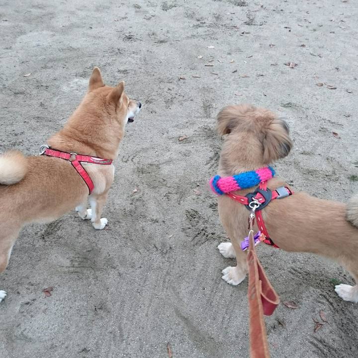 2ff03382 c70b 4b46 9c4a 0a61b94664ee