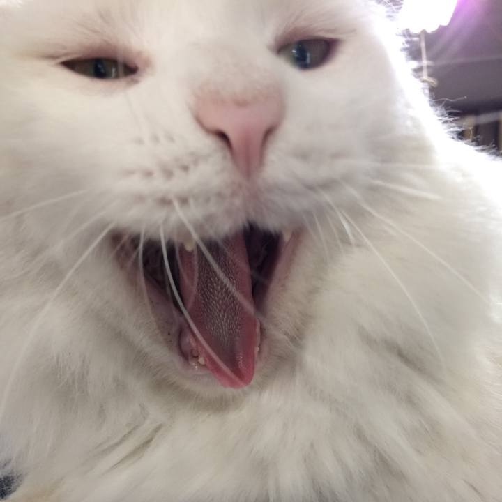 2ff08d13 4760 4d91 80cd 7480b58418f3