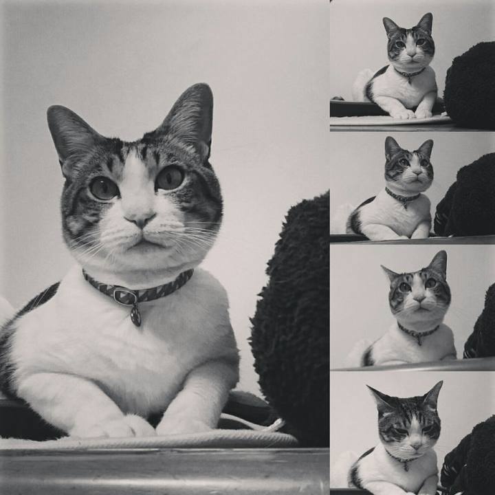 2ff17045 2980 4f9d baae 40038cd9c1e0