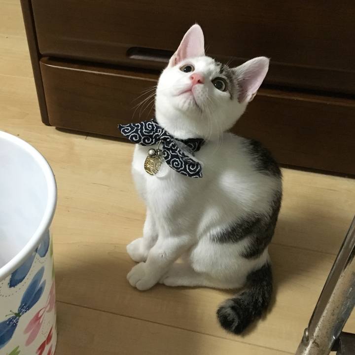 2ff18493 9341 4653 80a9 556df90d4b97