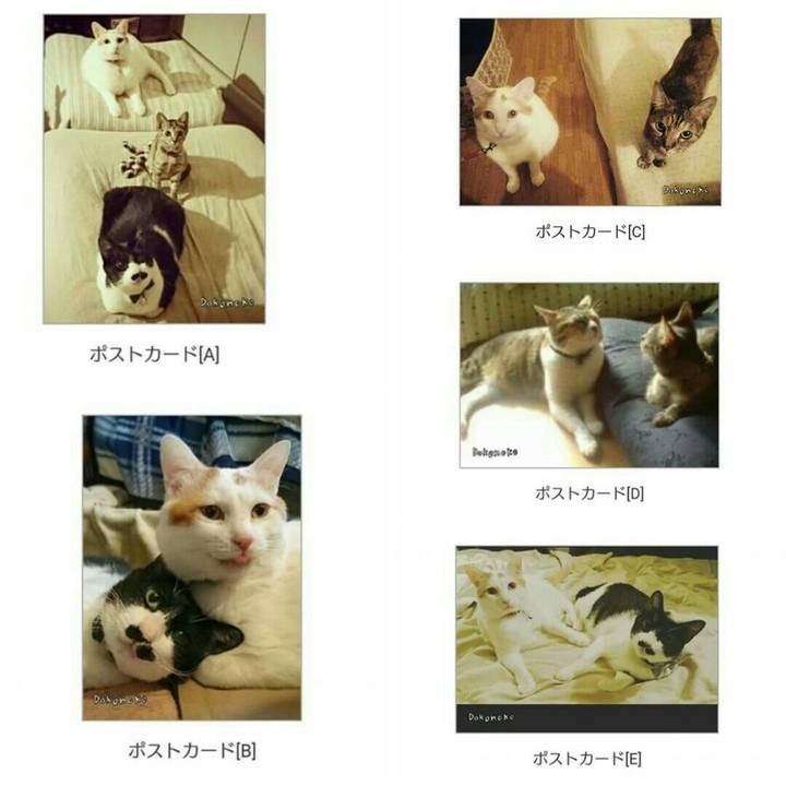 2ff1c8ee 185a 4d17 8cd7 063b82a7b441