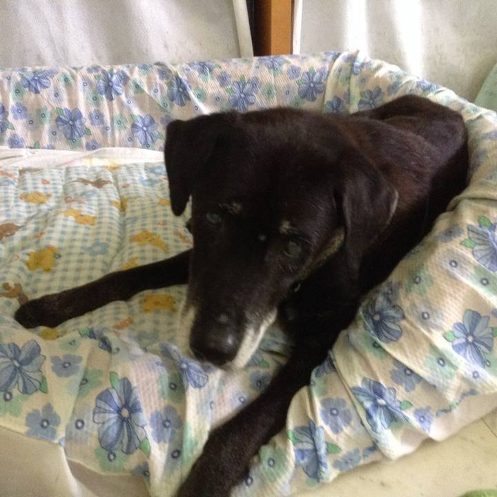 2ff1d746 a267 4f0a b0c7 12f710b0dc17