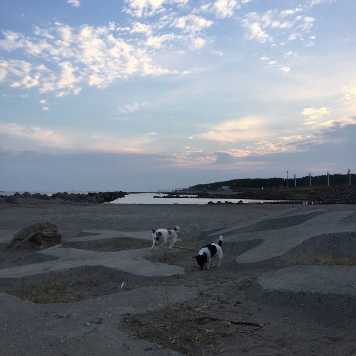 2ff1dfa7 587a 451f a120 fc1ccd6c0a87