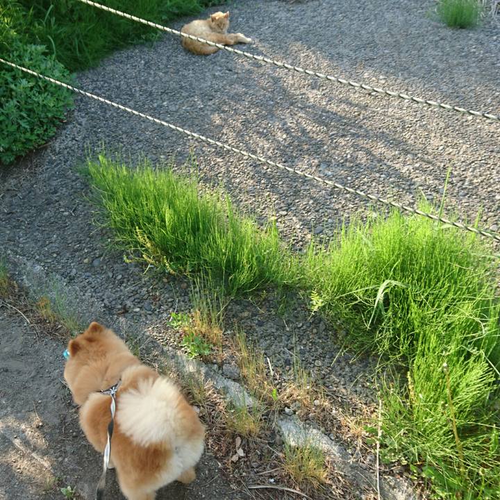 2ff29c36 0332 4dc5 aae8 a60cf25a1544