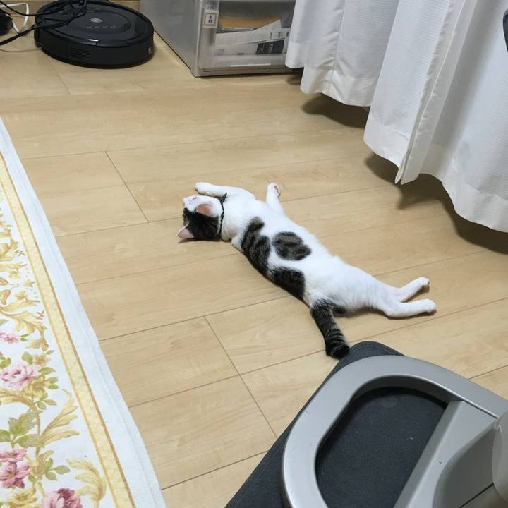 2ff32cac 9f69 4756 8e26 abf6ae286cc1