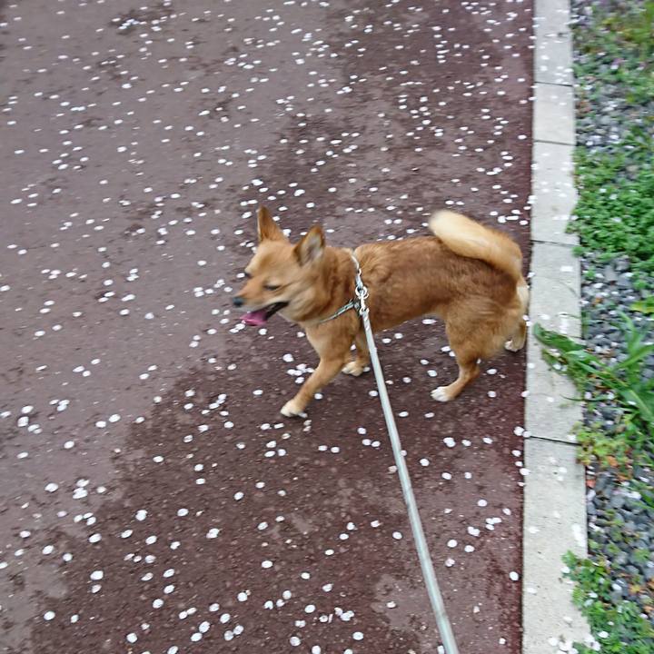 2ff3552c 1013 49d6 ab20 e5d65369a202