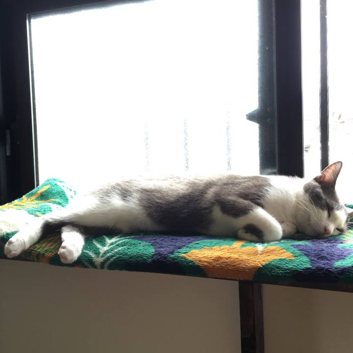 2ff3571e 40cb 4bb5 ba1e fe281a67f93e