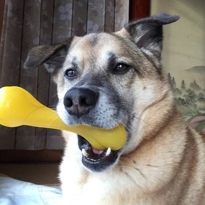 2ff3a95e 76fc 4e66 9ef2 dd5a4b1d01b5