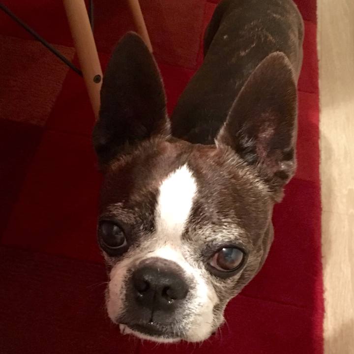 2ff3cb12 8aba 4d79 8b9a 665dbe6fc367