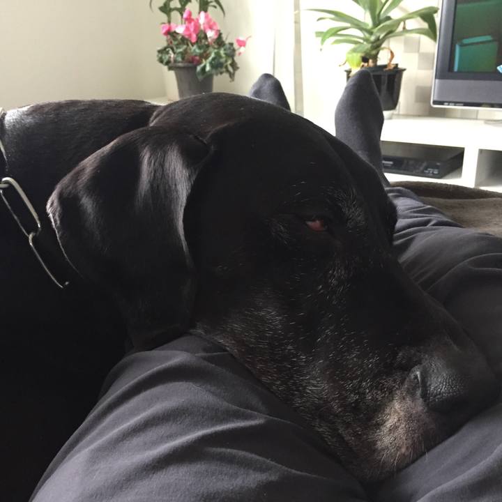 2ff3f445 ded8 4e78 94e2 34ed66525dd9