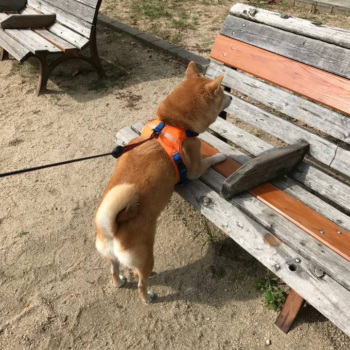 2ff413ac acb6 4f9d ae1c b6a753057efa