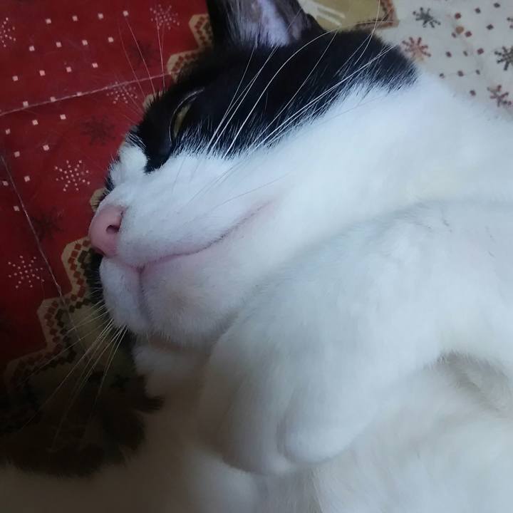 2ff49081 1a65 48ae bf06 6ffbbfbcf69b