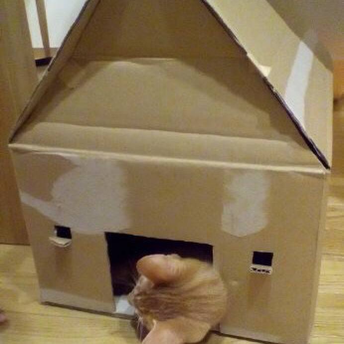 2ff4b74f 2d65 4e92 abaa c5655b69580f