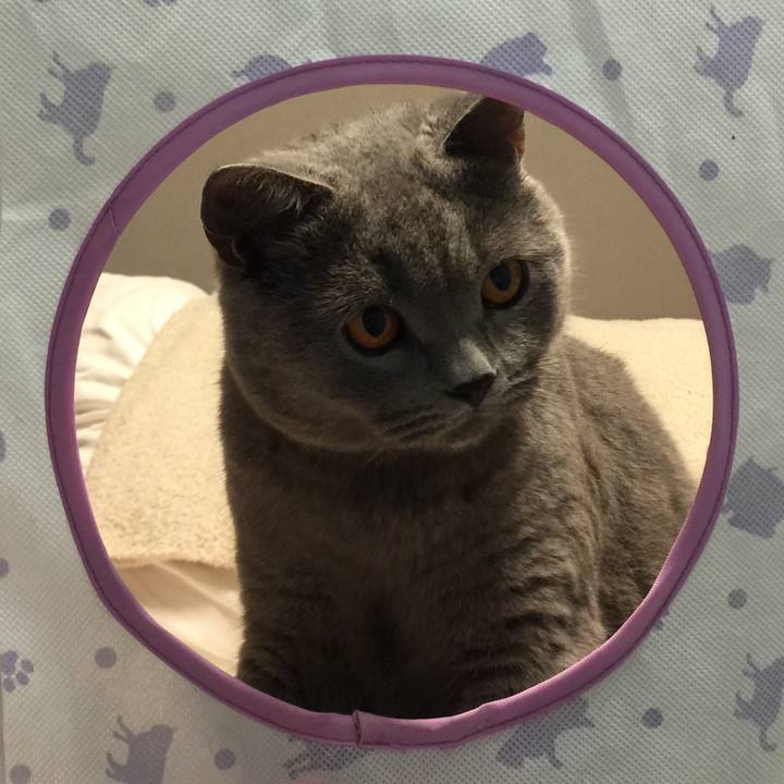 2ff5101e fc01 4e14 a05e 2d93decc04a4