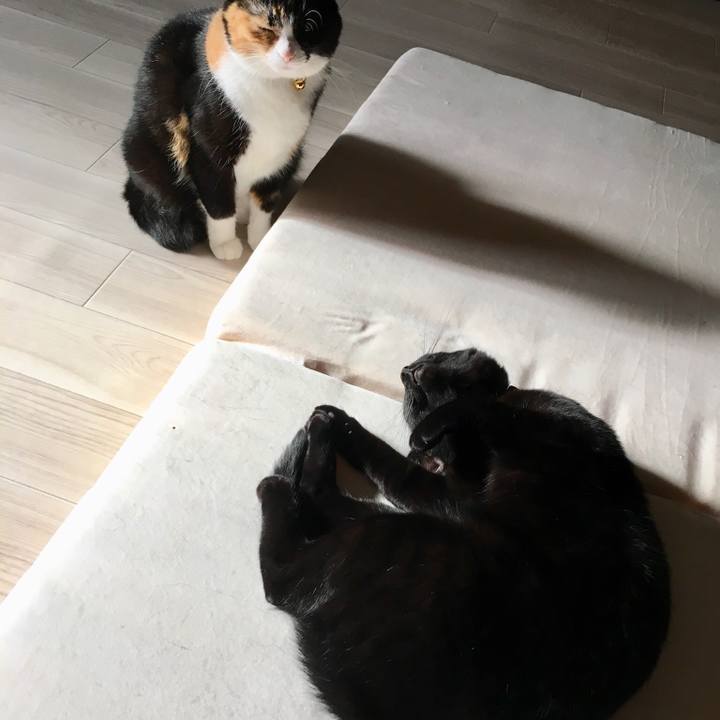 2ff560ae bea4 4d25 aafa ceff5632cd27