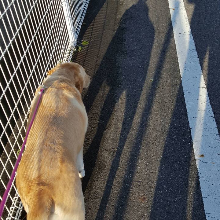 2ff5f2c7 9d08 4992 bee6 0a934f843c16