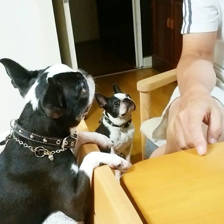 2ff63b76 f168 4361 b1b2 31106d7e5288