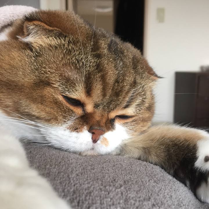 2ff76d51 65f8 4835 8945 1717692a1ecc