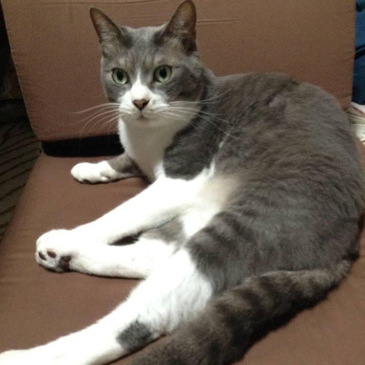 2ff79e84 6d4b 412c 95b3 981d4527a3a0