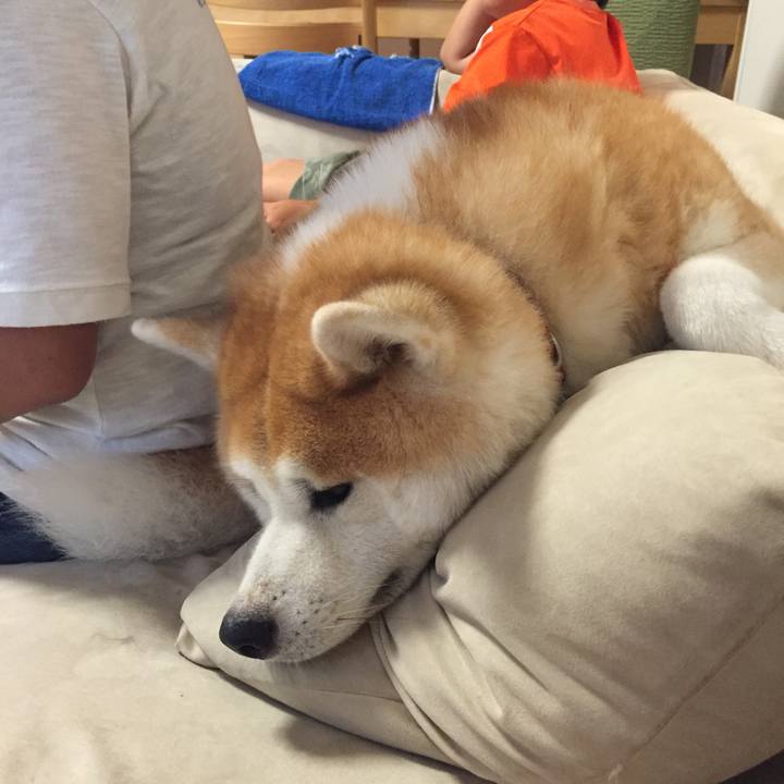 2ff8e58e b37e 4564 9b30 9c5a12979de2