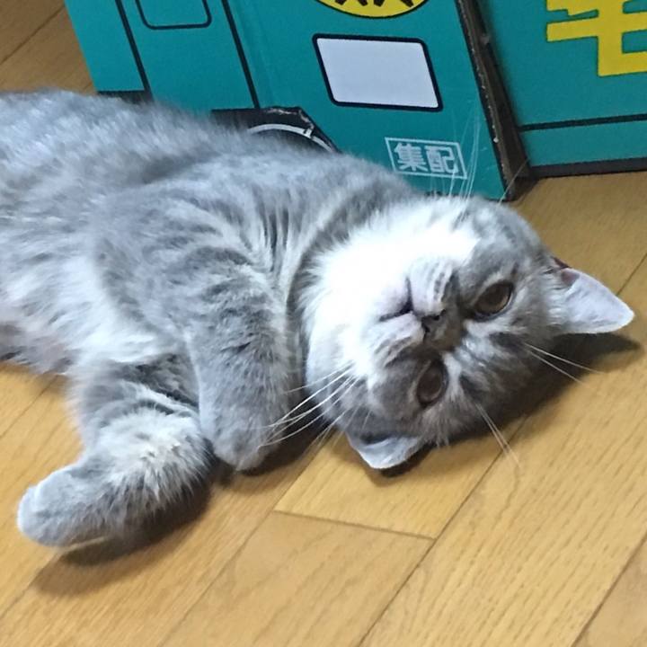 2ff9065f 2d9b 4b2c 805e be5ee1c8a803