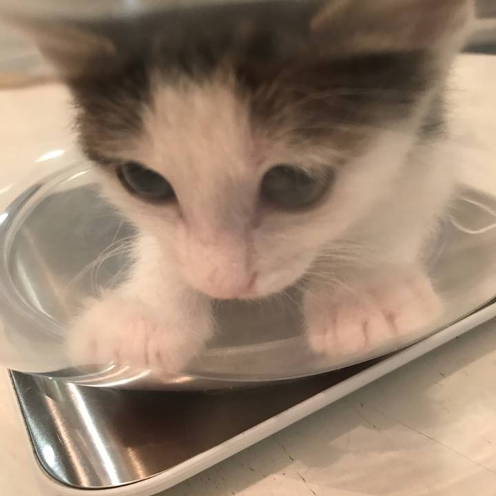 2ff9497e a7bd 40ab 9bde 3fbf094d24ee