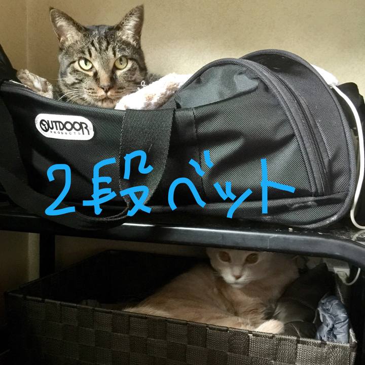 2ff9c549 cc45 41a0 bdcf 080340da4ed7