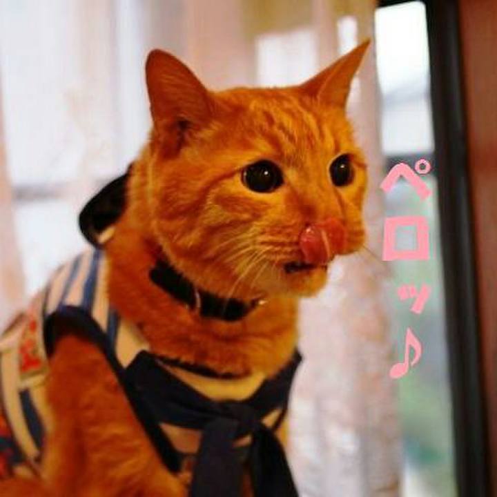 2ff9d904 0692 4328 b4c4 3b7815d157de