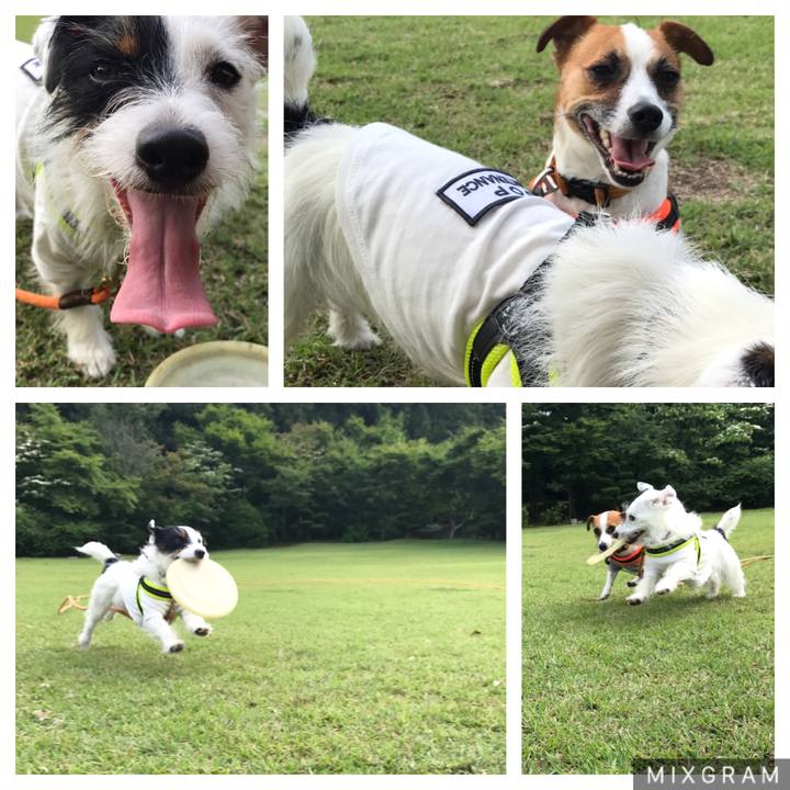 2ffa7233 0c19 4cc3 857d 9a734ba6536c