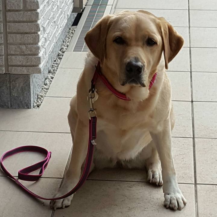 2ffbb56d f53a 42b3 bd3e 647a93746222