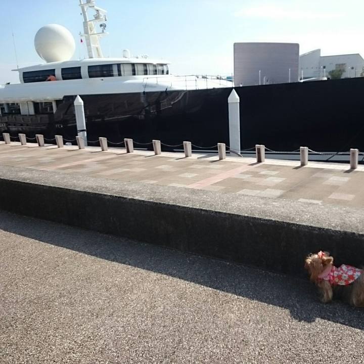 2ffbd665 13cd 442d b1d6 914b19bade18