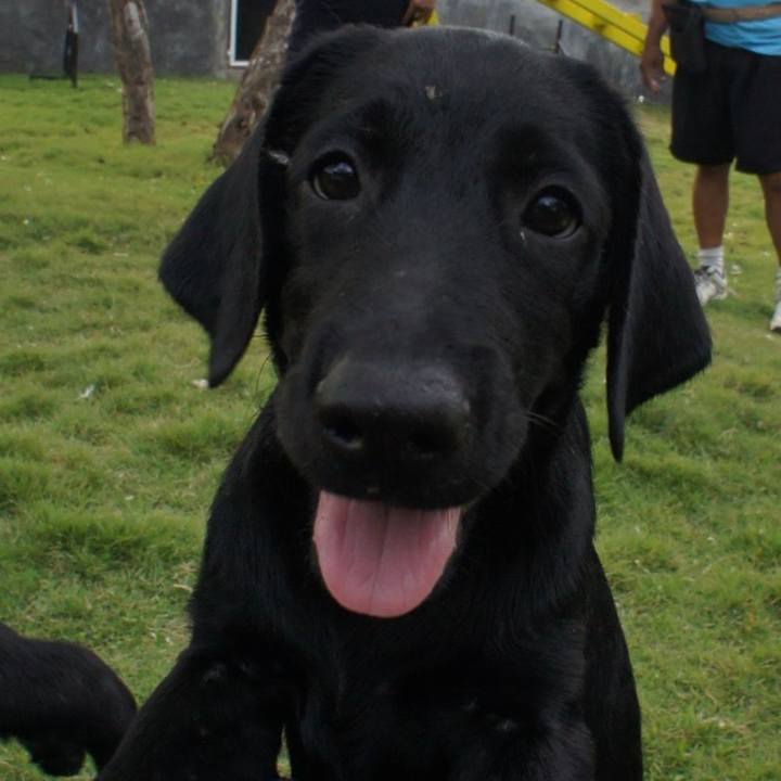 2ffbda74 4f9d 4941 88f0 20a484248b5b