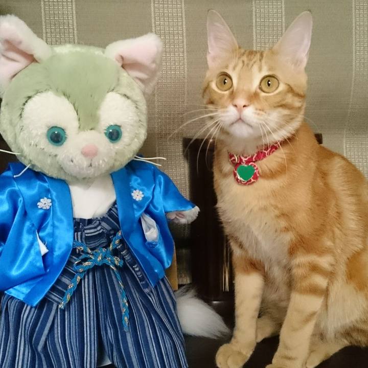 2ffc2df6 5347 41b9 8ada c4676ccfb505