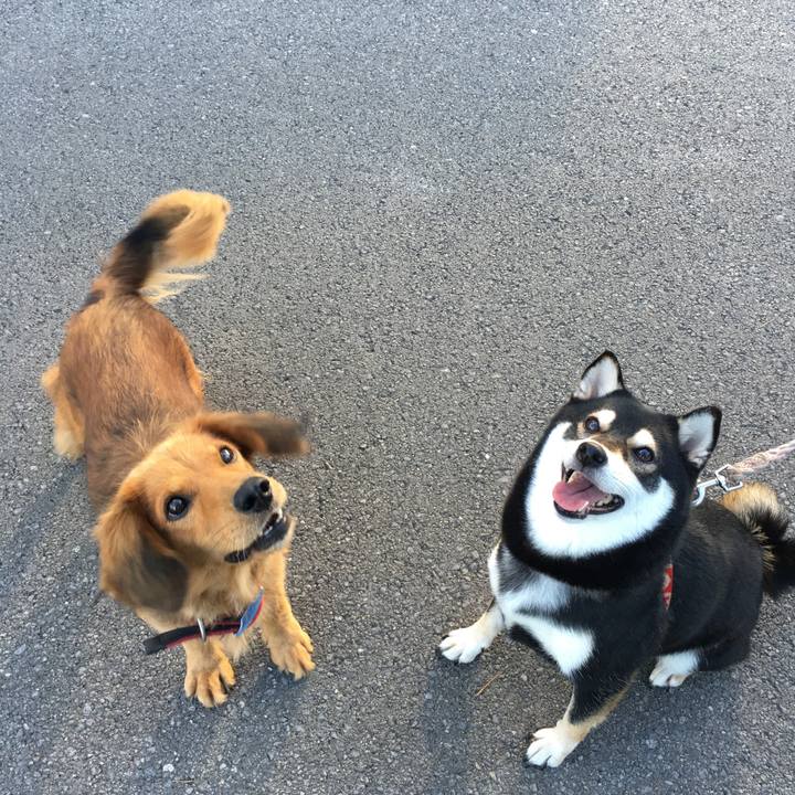 2ffc2ecb 0a25 4abc 84a1 32304666669e