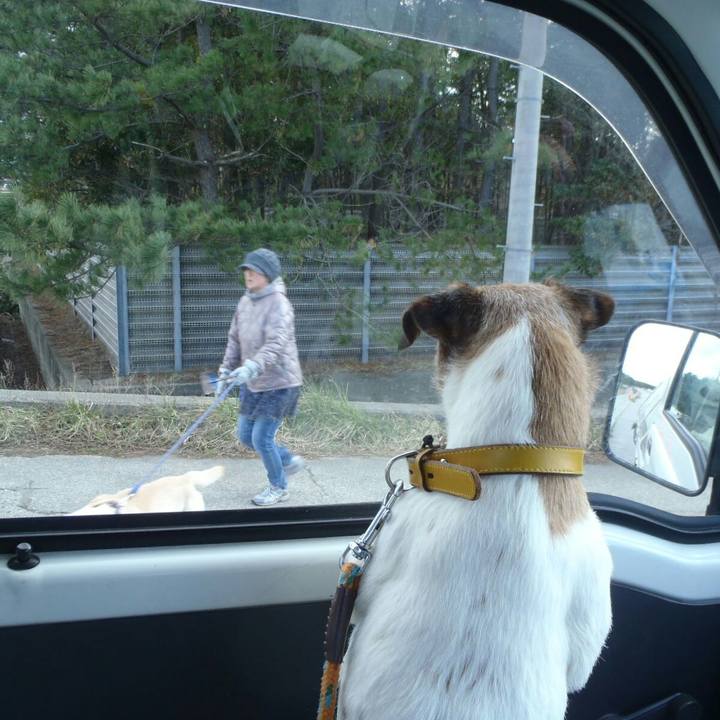 2ffc5cde 41e2 4c12 bc08 011a9baa0454