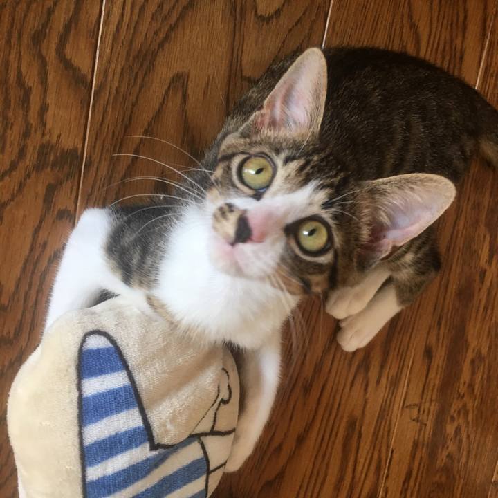 2ffc68a6 0b8b 4e7e 8581 e0f8b82695d6