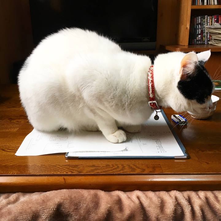 2ffd1aef de1a 409b 8256 c35952836a20