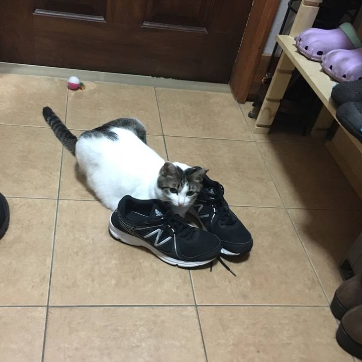 2ffdff2e 032b 4b94 a55c 73f1320b6b49