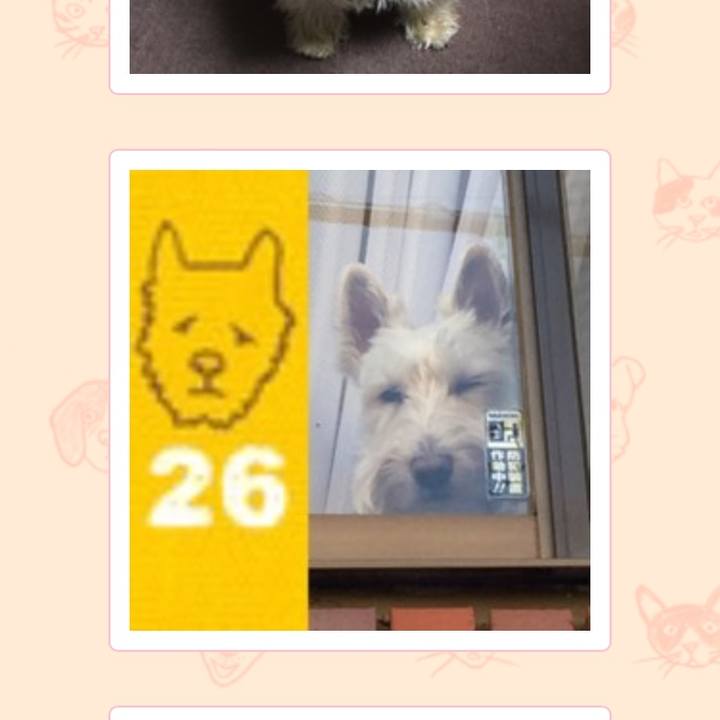 2ffe9693 9bc6 4f42 b16d 4585d306864b