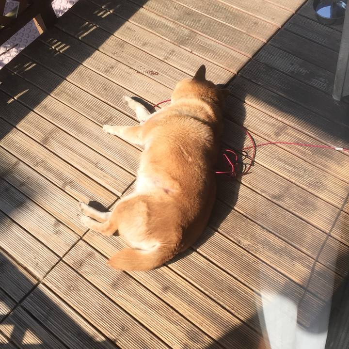 2ffebdc1 fa23 4ad2 a43b 2a5f7a66f53e