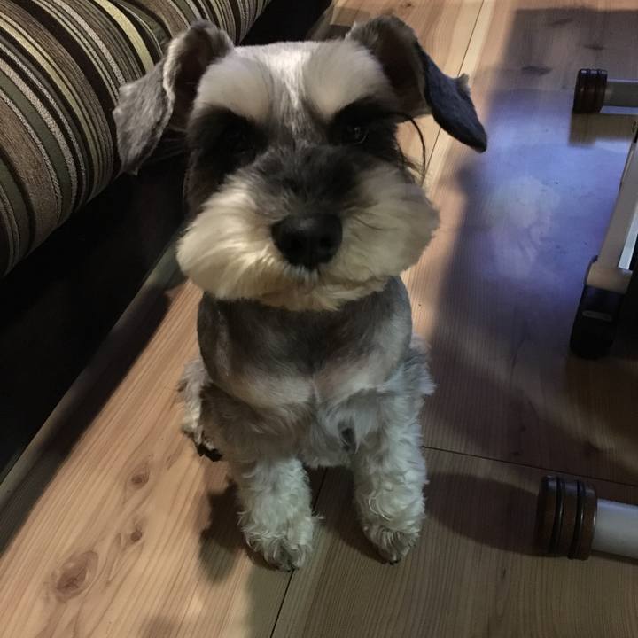 2fff583e ff5b 4ade b81a 757912a14d57