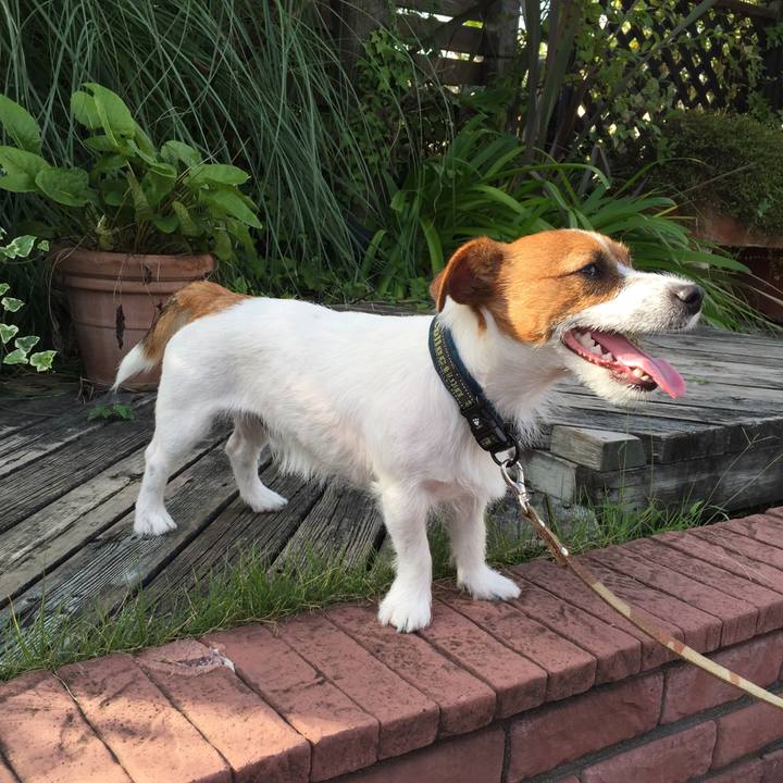 2fffaa17 6a3c 41bb b096 77440d319619